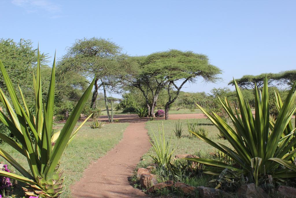 Mapito Tented Camp Serengeti Kültér fotó