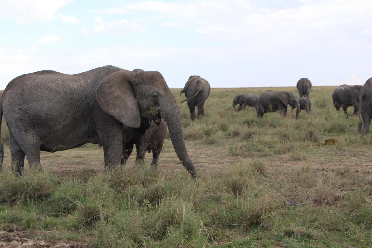 Mapito Tented Camp Serengeti Kültér fotó
